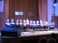 В честь Дня Защитника Отечества в Пельгорском доме культуры 23 февраля прошел замечательный концерт с новыми номерами